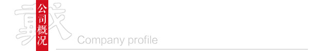 公司概况